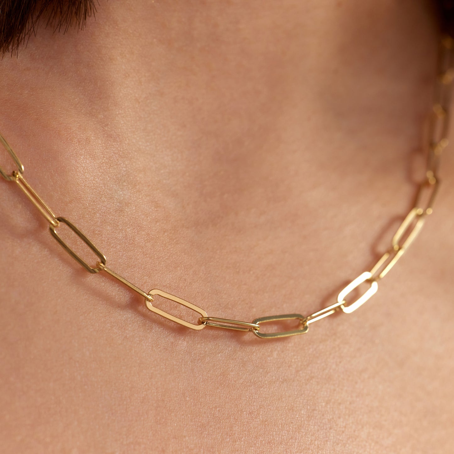 Bibbiena Poppi Felice 925 sterling silver gold plated link necklace - Parte di Me