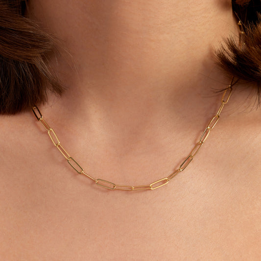 Bibbiena Poppi Felice 925 sterling silver gold plated link necklace - Parte di Me